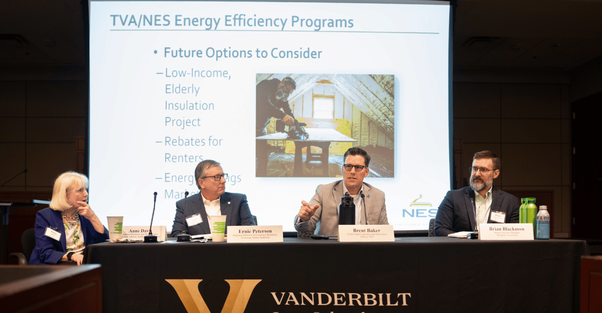 State of the Environment Energy Panel 2025