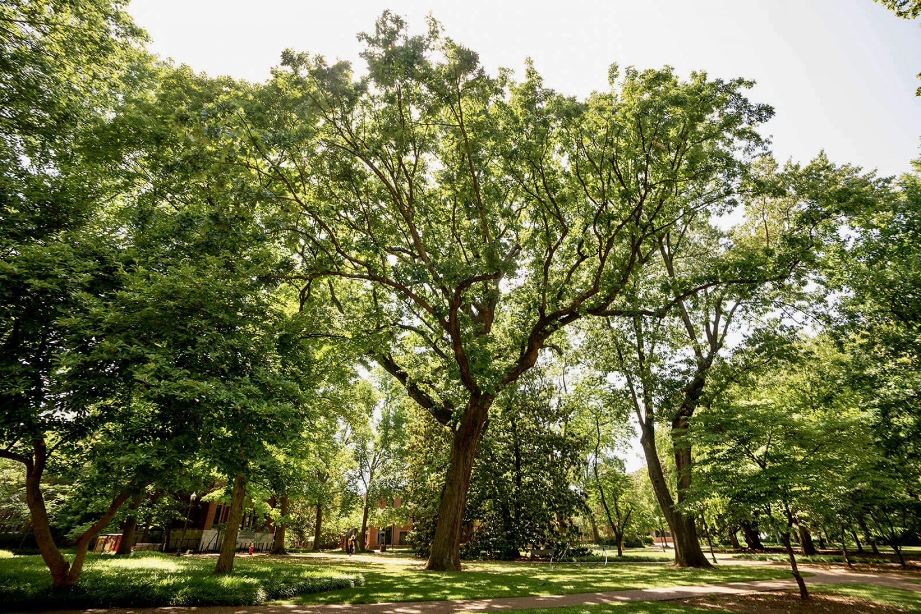 Private Environmental Governance